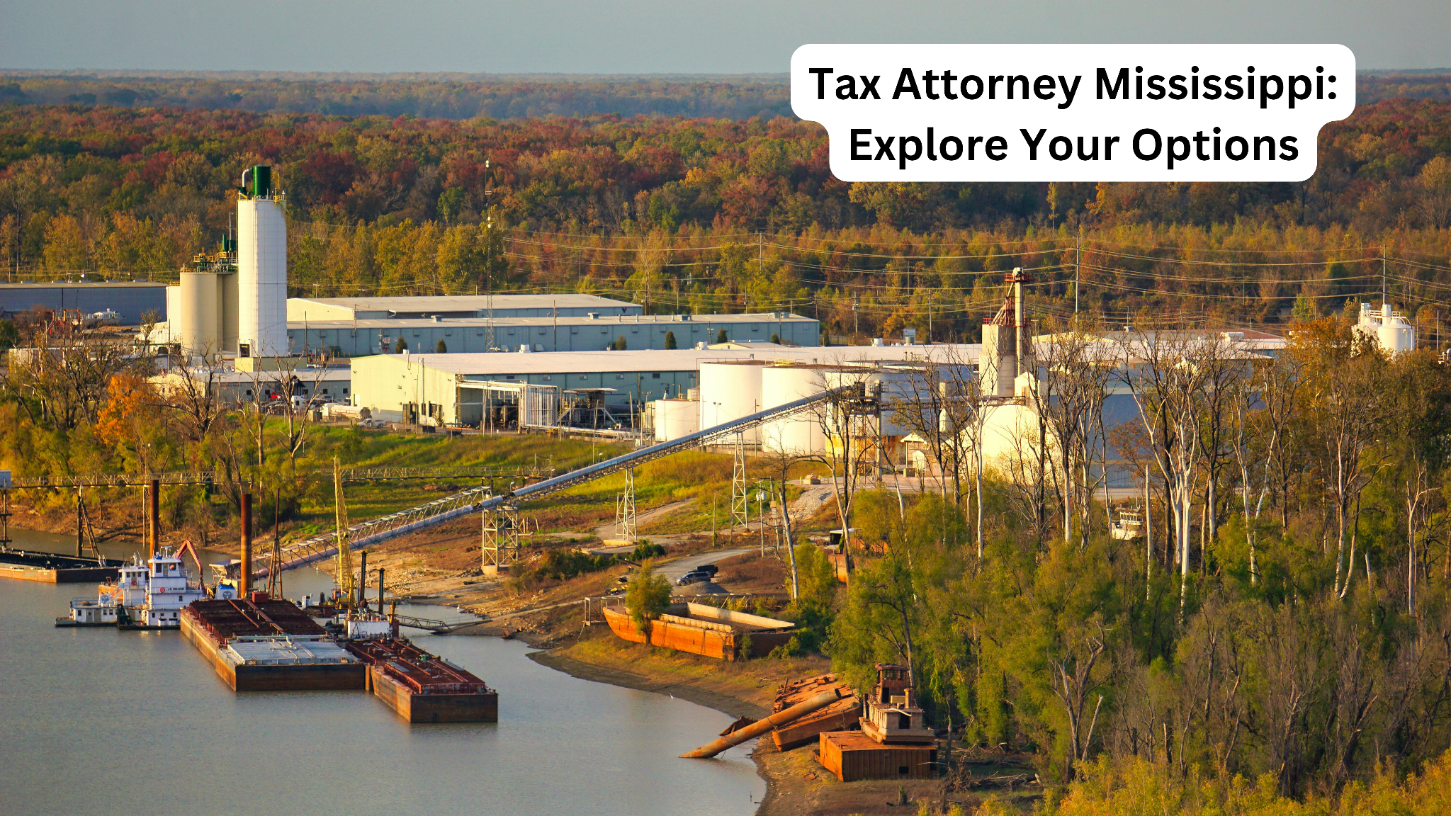 Tax Attorney Mississippi: Explore Your Options