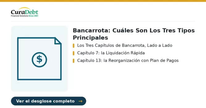 bancarrota: puntos clave - Los Tres Capítulos de Bancarrota, Lado a Lado; Capítulo 7: la Liquidación Rápida.
